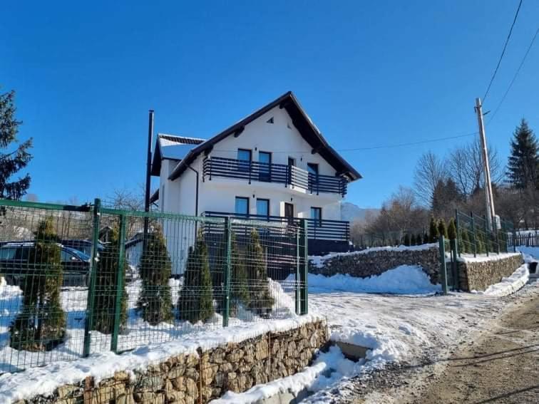 Transylvania House Borsa  Ngoại thất bức ảnh